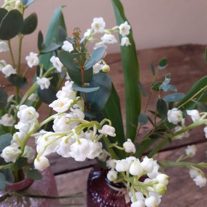 muguet
