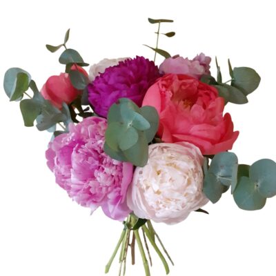 20220520_174636-Photoroom