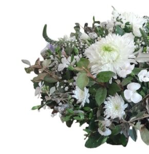 blanche harmonie